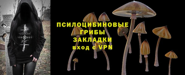 метадон Арсеньев