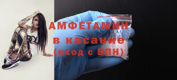 ГАЛЛЮЦИНОГЕННЫЕ ГРИБЫ Аркадак