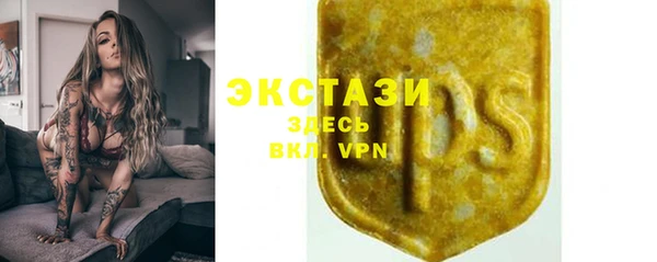ГАЛЛЮЦИНОГЕННЫЕ ГРИБЫ Аркадак