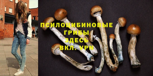 ГАЛЛЮЦИНОГЕННЫЕ ГРИБЫ Аркадак