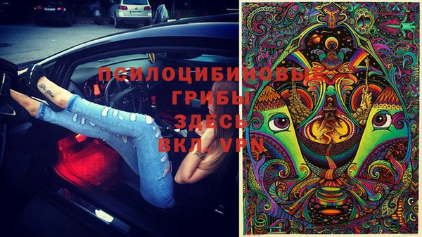 метадон Арсеньев