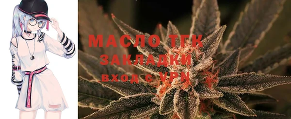 ГАЛЛЮЦИНОГЕННЫЕ ГРИБЫ Аркадак