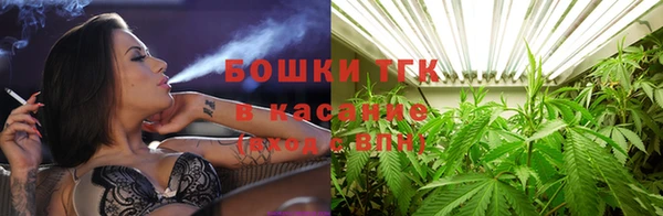 ГАЛЛЮЦИНОГЕННЫЕ ГРИБЫ Аркадак