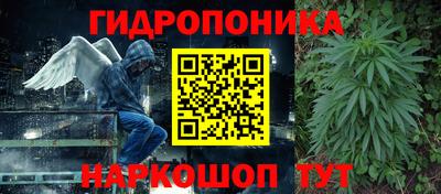 прущие крисы Гусев