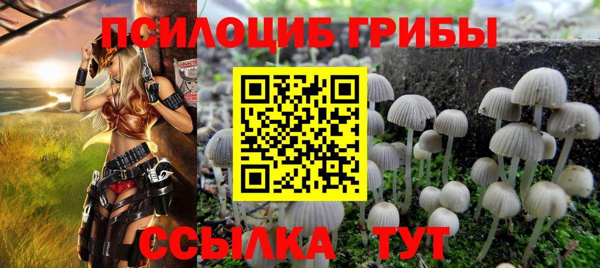 Псилоцибиновые грибы ЛСД  Вход с VPN  Псилоцибиновые грибы GOLDEN TEACHER  Туймазы 